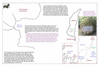 coo1d37 ship cove_thumb.gif